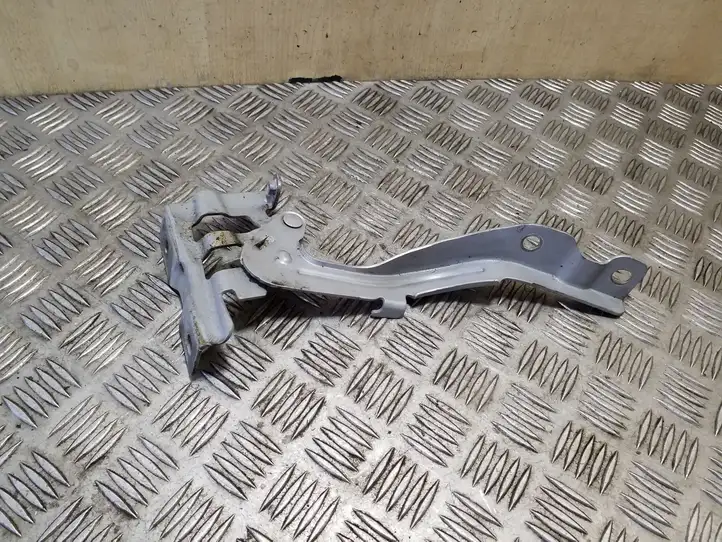 Kia Rio Петли капота — фото 1