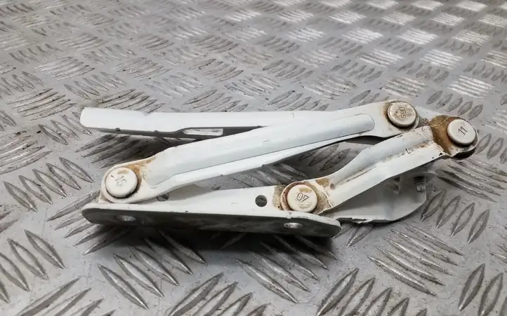 Volkswagen Eos (2006 - 2010)  1Q0823301C Петля (петли) капота