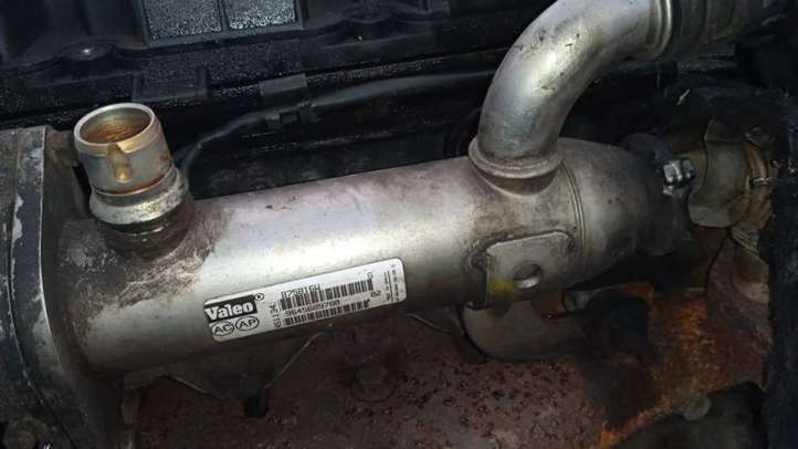 9645689780 Citroen C4 I EGR aušintuvas