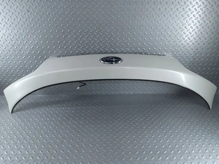 Subaru Outback (BS) (2014 - 2019) C13010021 Подсветка номера — фото 2