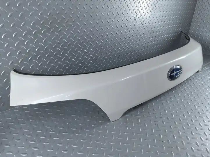 Subaru Outback (BS) (2014 - 2019) C13010021 Подсветка номера — фото 4