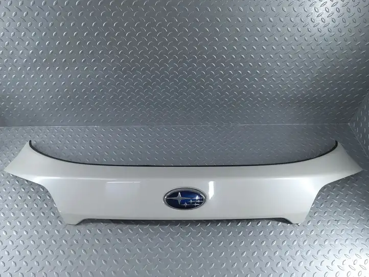 Subaru Outback (BS) (2014 - 2019) C13010021 Подсветка номера — фото 5