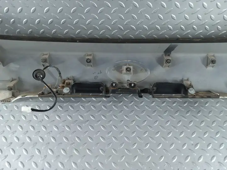Subaru Outback (BS) (2014 - 2019) C13010021 Подсветка номера — фото 10