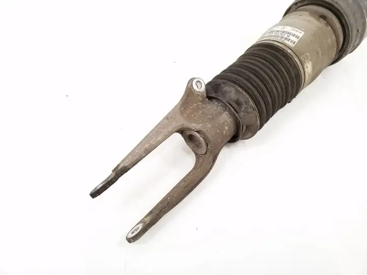 Porsche Panamera (970) (2009 - 2013) 97034305210 Передний амортизатор — фото 2