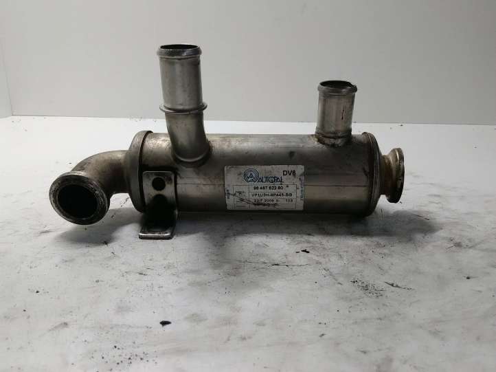 9646762280 Ford Focus EGR aušintuvas