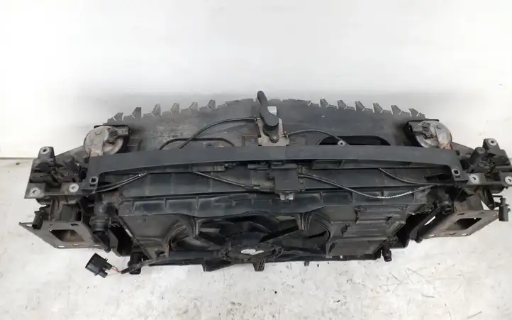 Skoda Superb B8 (3V) (2015 - 2023) 3V0807559 Панель радиаторов двигателя — фото 5