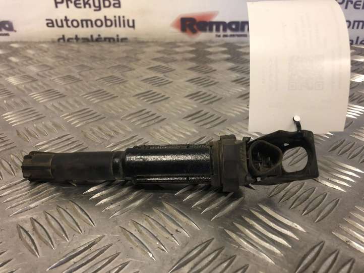 12137551260 BMW 3 E46 Aukštos įtampos ritė babyna