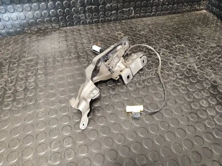 Mercedes-Benz CLA C117,X117,W117 (2013 - 2019) A1179061000 Петли капота — фото 2