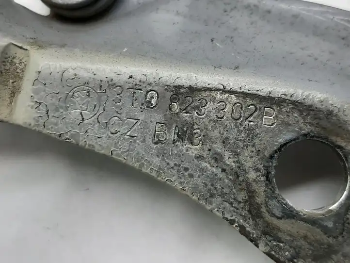 Skoda Superb B6 (3T) (2008 - 2015) 3T0823302B Петли капота — фото 3