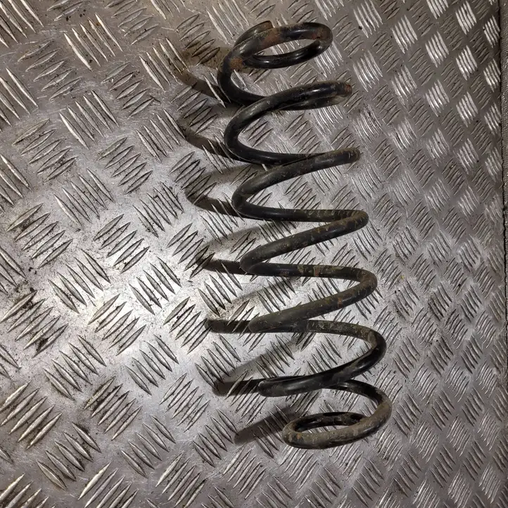 Volkswagen Golf V (2003 - 2009)   Пружина