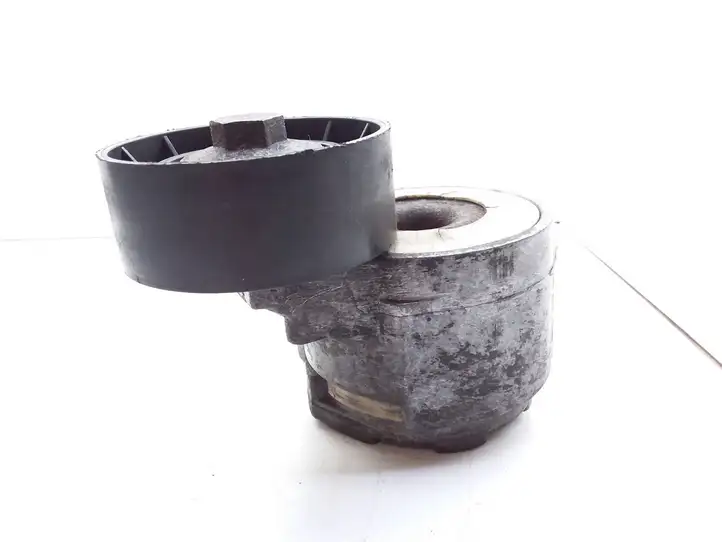 Opel Vectra (2005 - 2009)  55190813 Устройство натяжки ремня