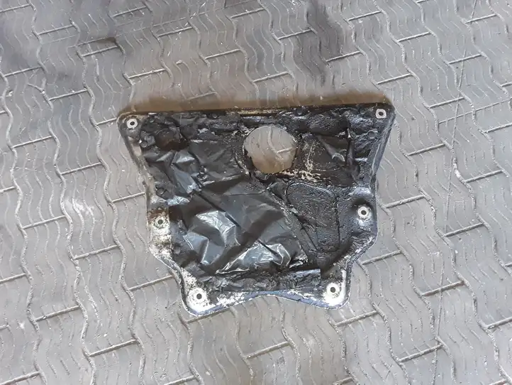 BMW X5 E70 (2006 - 2013) 6773000 Защита двигателя — фото 3