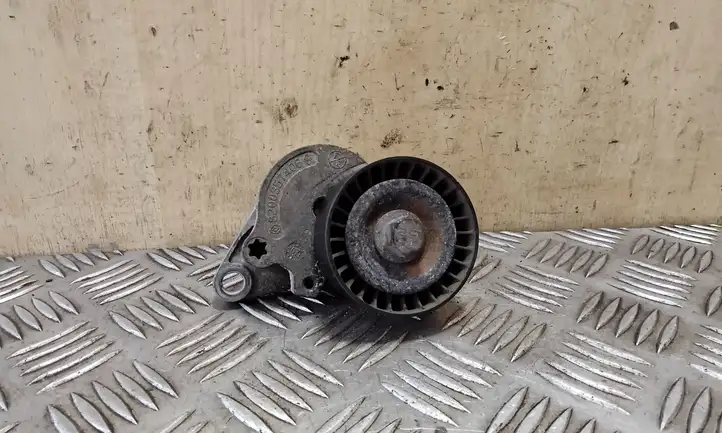 Nissan X-Trail T31 (2007 - 2014) 8200357406 Натяжитель ремня ГРМ — фото 1