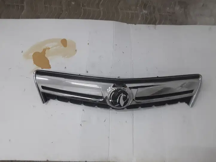 Opel Antara (2011 - 2017) 25983424 Верхняя решетка радиатора — фото 1