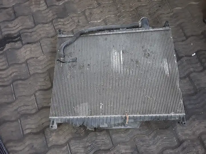 Land Rover Range Rover Sport L494 (2009 - 2013) Радиатор охлаждающей жидкости двигателя — фото 3