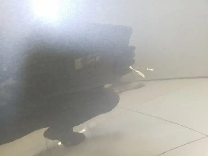 Toyota RAV 4 (XA30) (2006 - 2016) Дверь — фото 3