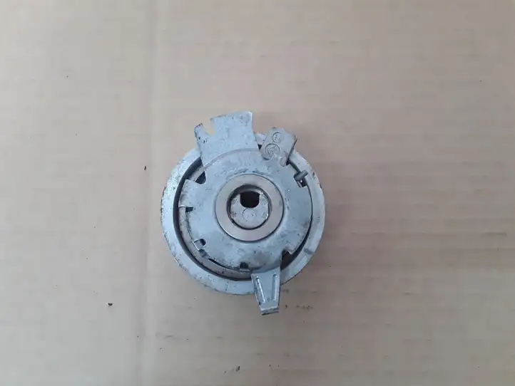 Audi A3/S3 8P (2004 - 2008) 55901504 Натяжитель ремня ГРМ — фото 2