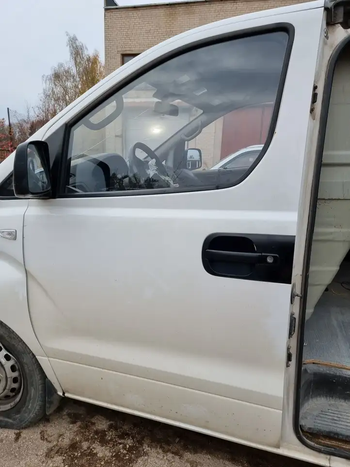 Hyundai H-1, Starex, Satellite (2007 - 2013) Дверь — фото 3