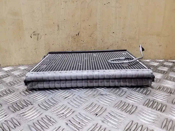 Land Rover Range Rover Sport L320 (2005 - 2009) Испаритель кондиционера — фото 3
