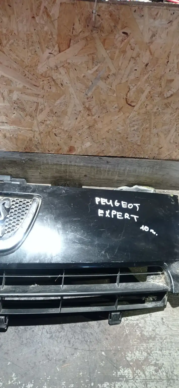 Peugeot Expert (2007 - 2016) 1497644077 Верхняя решетка радиатора — фото 2