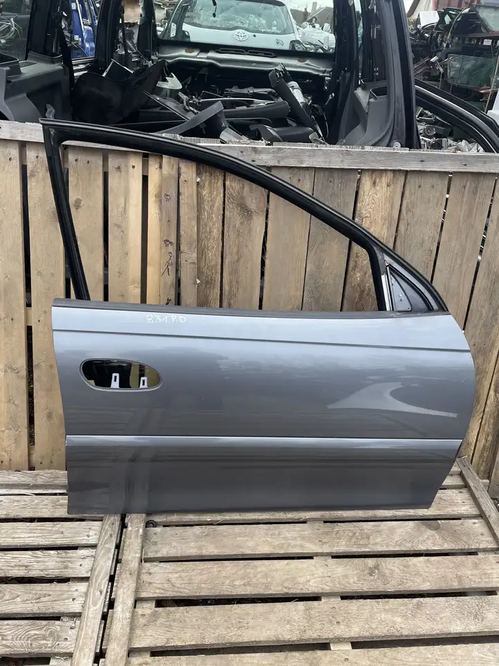 Opel Omega B2 (1999 - 2004) Дверь — фото 1