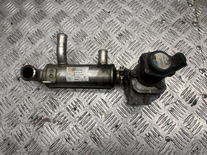 9646762280 Citroen C5 EGR aušintuvas