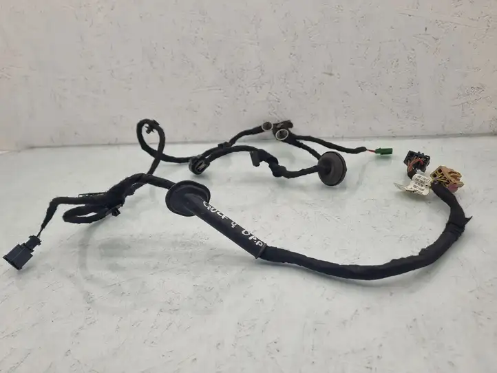 Volkswagen Golf IV (1998 - 2005) 1J0971121AQ Проводка передней двери — фото 1