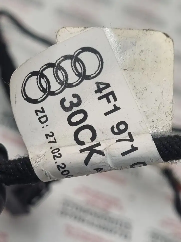 Audi A6 S6 C6 4F (2008 - 2011) 4F1971030CK Проводка передней двери — фото 10