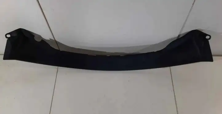 Tesla Model 3 (2017 - 2023) 164351600A Задняя боковая обшивка салона — фото 1