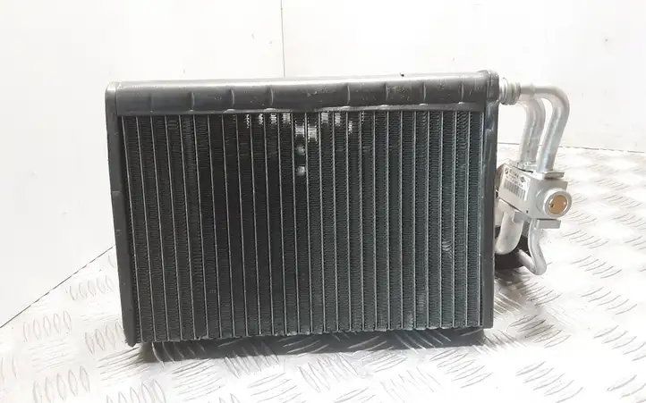 Land Rover Range Rover L322 (2005 - 2009) 641183855609 Испаритель кондиционера — фото 3