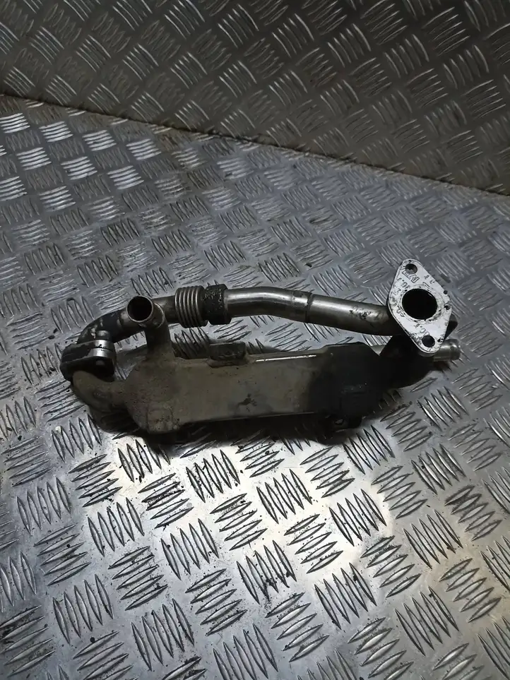 Seat Alhambra (Mk1) (2000 - 2010) BH0038131513C Охладитель клапана EGR — фото 3