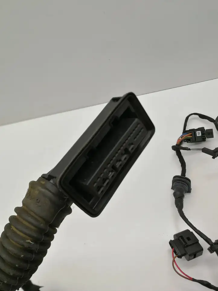 Seat Ibiza IV (6J,6P) (2008 - 2017) 6J4971121M Проводка передней двери — фото 6
