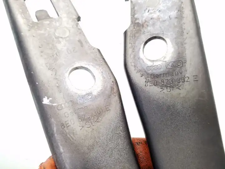 Audi A4   8E0823301E Петля (петли) капота