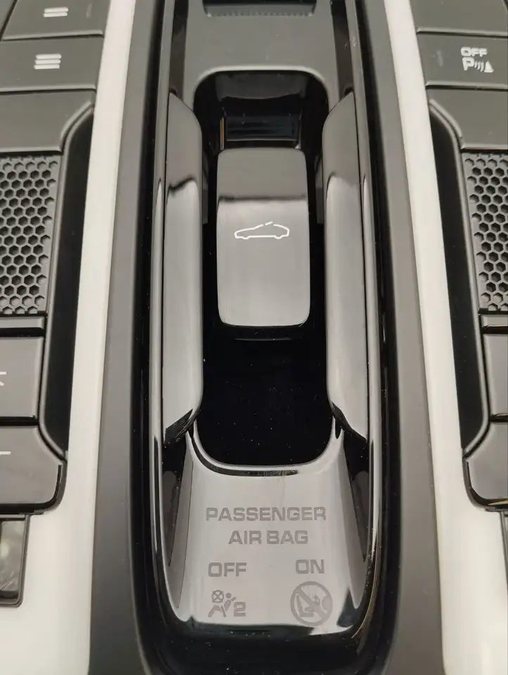 Porsche Panamera (971) (2016 - 2020) 971959551DQ Передняя подсветка — фото 8