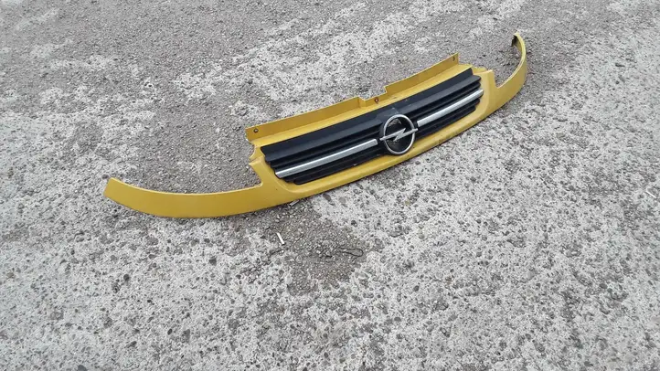 Opel Vivaro (2006 - 2014) 8200044873 Верхняя решетка радиатора — фото 1