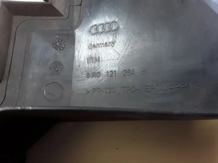 Audi Q5 SQ5 (2008 - 2012) 8R0121284H Дефлектор воздуха — фото 2