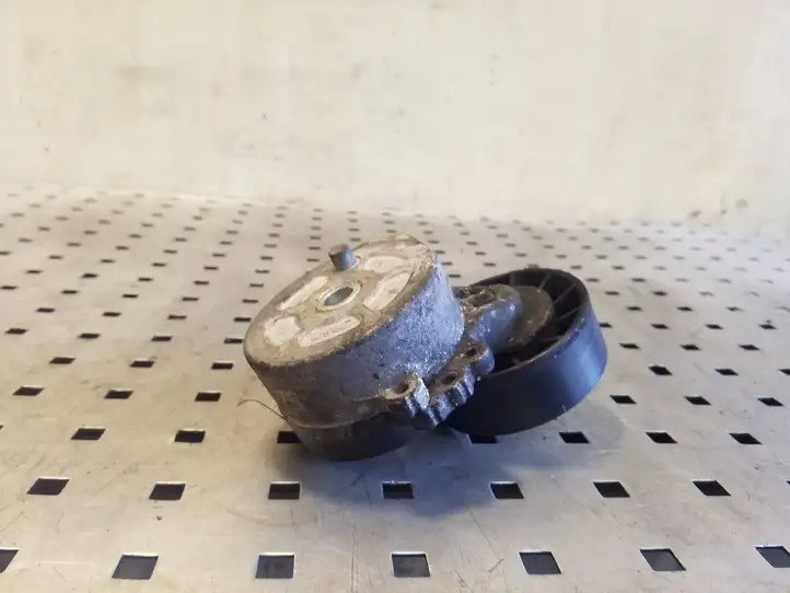 Ford Kuga I (2008 - 2012) 530615 Натяжитель ремня — фото 3