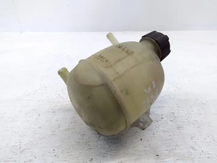 Renault Scenic I (1996 - 2003) 7700839184 Расширительный бачок — фото 2