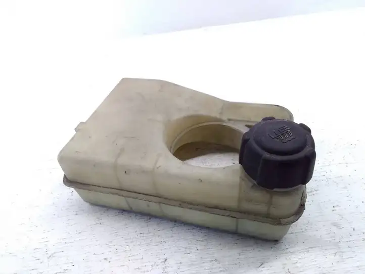 Renault Twingo I (1999 - 2006) 7700424969 Расширительный бачок — фото 4