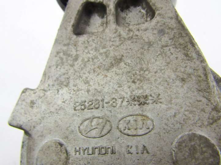 2528137 Hyundai Tucson JM Generatoriaus diržo įtempėjas