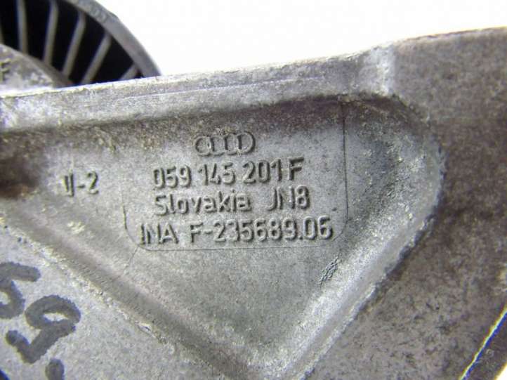 059145201F Audi A4 S4 B7 8E 8H Generatoriaus diržo įtempėjas