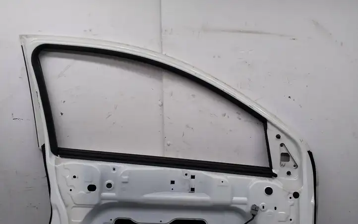 Nissan Qashqai (2010 - 2013) Дверь — фото 6