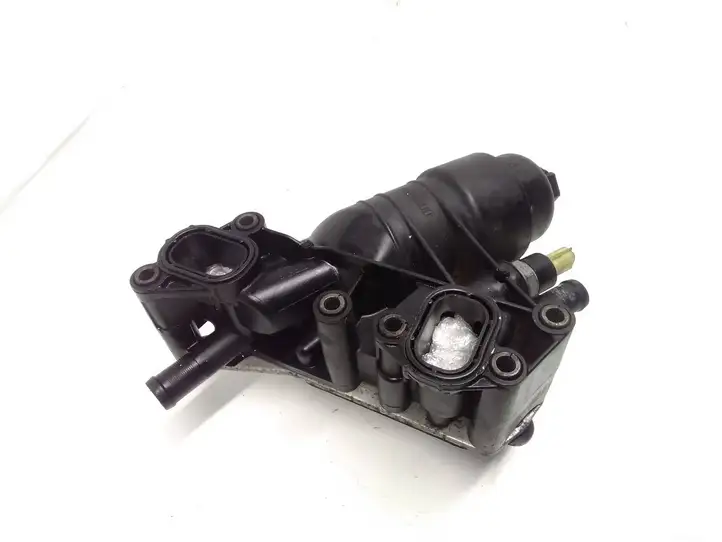 Nissan Qashqai (2010 - 2013) 152085948R Кронштейн масляного фильтра — фото 1