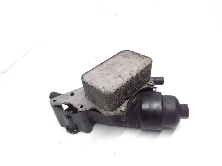 Nissan Qashqai (2010 - 2013) 152085948R Кронштейн масляного фильтра — фото 4
