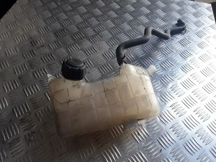 Renault Scenic II - Grand scenic II (2003 - 2006) 8200262036 Крышка расширительного бачка — фото 1