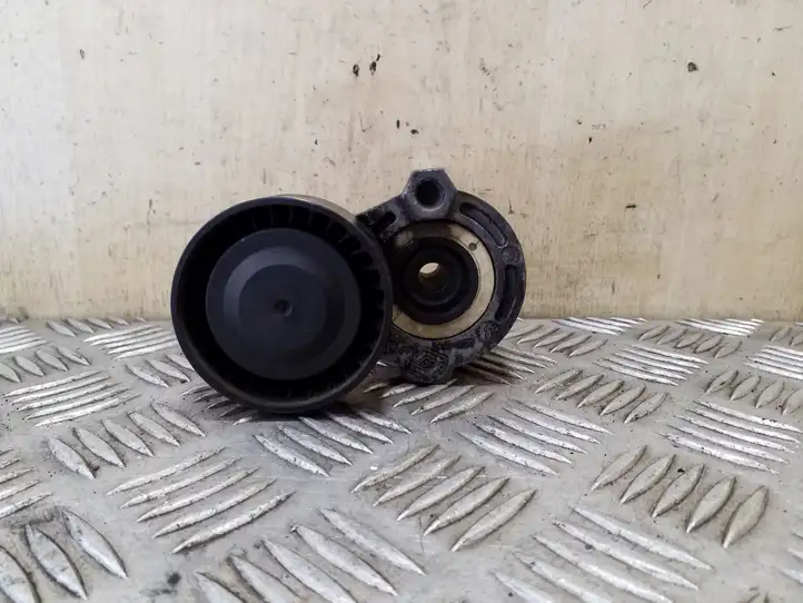 Nissan Juke I F15 (2010 - 2018) 117503662R Натяжитель ремня — фото 1