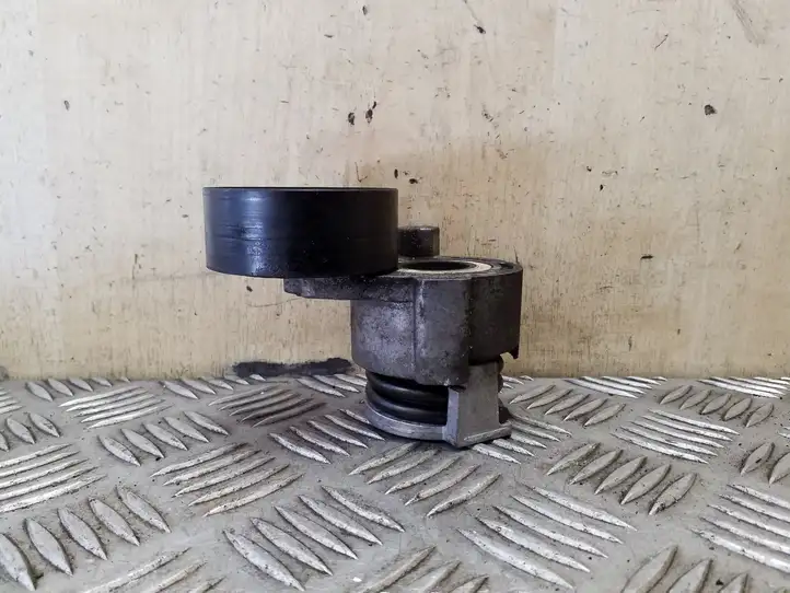 Nissan Juke I F15 (2010 - 2018) 117503662R Натяжитель ремня — фото 3