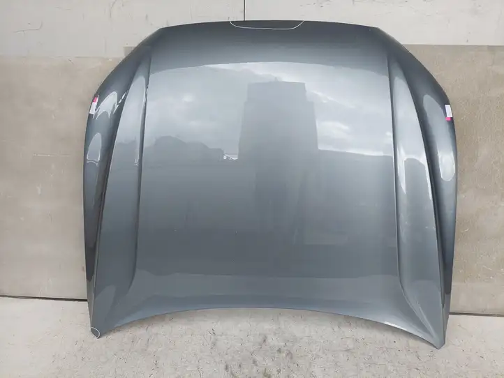 Volvo XC60 (2017 - )  31416874 Капот