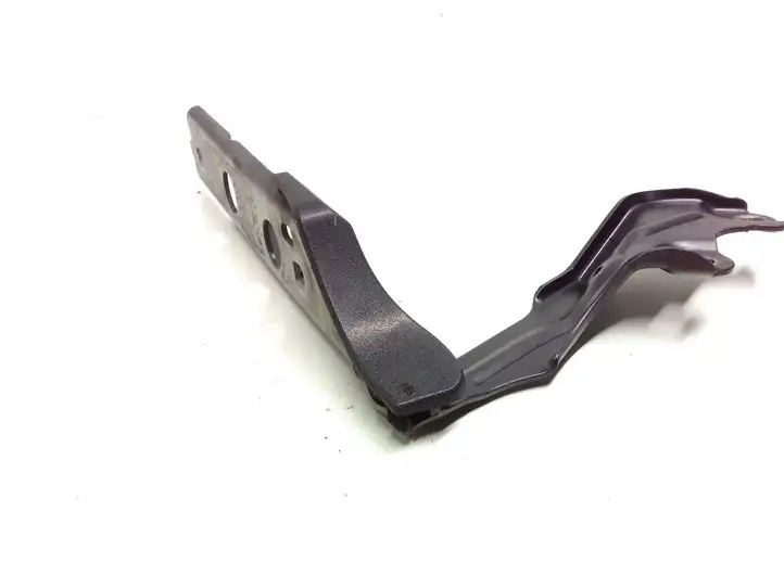 Audi A6 (2014 - 2018)  4G8823301E Петля (петли) капота