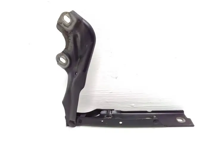 Audi A6 (2014 - 2018)  4G8823301E Петля (петли) капота